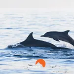 #065 Zulmira Flat By Holidays Appartement *