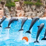 #065 Zulmira Flat By Holidays *