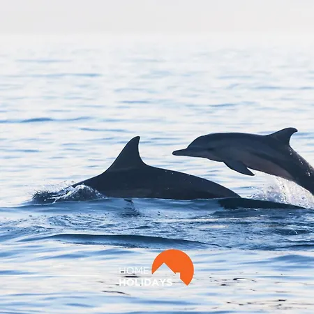 #065 Zulmira Flat By Holidays アパート *