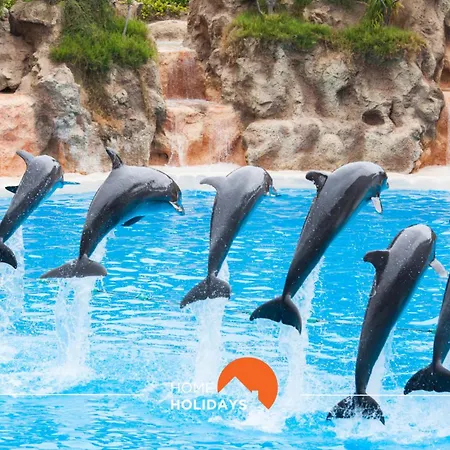 #065 Zulmira Flat By Holidays *