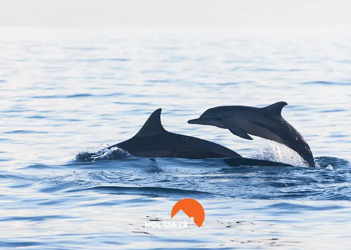 #065 Zulmira Flat By Holidays 公寓 *